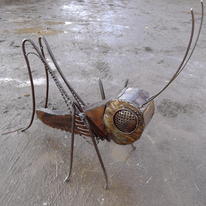 Grasshopper