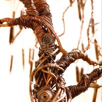 Twisted Willow Tree