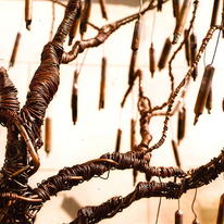 Twisted Willow Tree