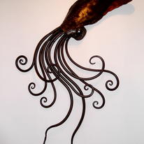 Humbolt Squid