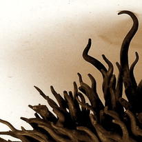 Sunflower Bowl detail