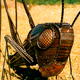 Grasshopper