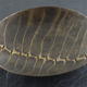 Etched brass dish | | | Brass, silver Etched brass dish
