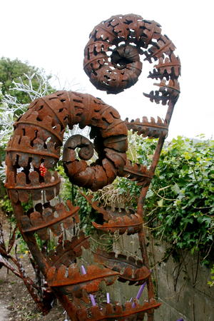 Unfirling Ferns