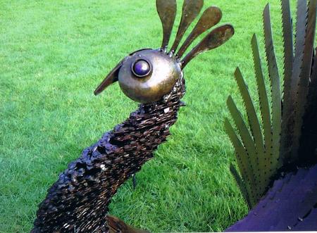 Sawblade Peacock