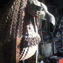 Bird Of Prey