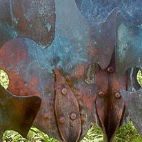 Large Copper Folium