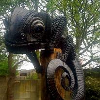 Rodney Chameleon