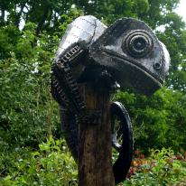 Rodney Chameleon