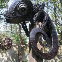 Rodney Chameleon