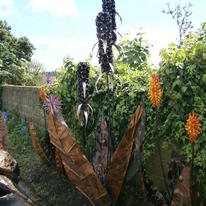 Banana Palm