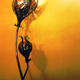 Seed pod light