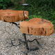 cedar twin root table