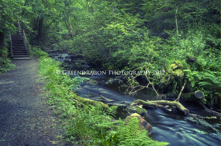 River Flow