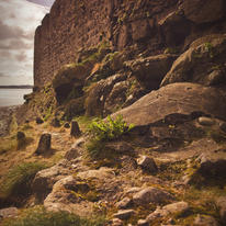 Castle Wall Garden