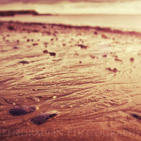 Ripples in the sand