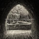 Tollymore Archway | £90 | 60 x 60cm | Canvas Tollymore Archway