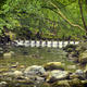 River Crossing | | | River Crossing