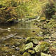 Autumn Shallows | | | Autumn Shallows
