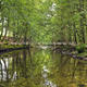 A River Calm | £105 | 80 x 60cm | Canvas A River Calm