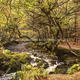 Autumn Turning