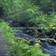 River Flow
