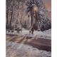 Winters walk
