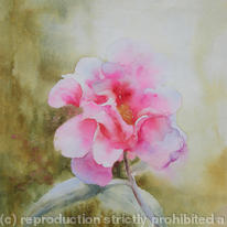 hidden camelia