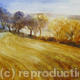 evening-light-on-the-furrows
