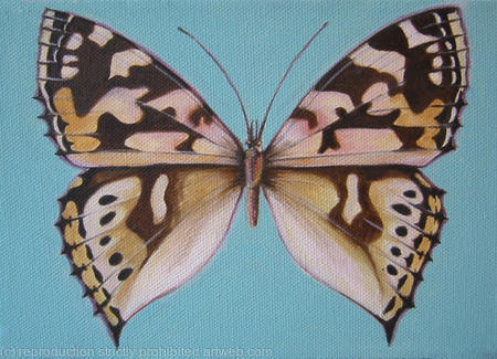 Painted Lady