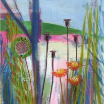 Distant Field 