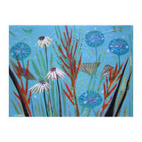 Paddock Daisy