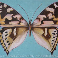 Painted Lady