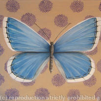 Adonis Blue