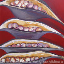 Seedpods Red