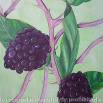 Blackberry