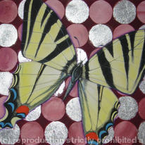 butterfly circles