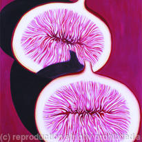 Split Fig