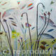 Seedheads 3