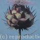 Flowering Artichoke