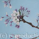 Cherry Blossom