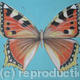Small Tortoiseshell