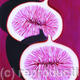 Split Fig