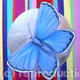 Butterfly stripe