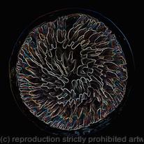 Cellular Conversa Microscopic Slide I