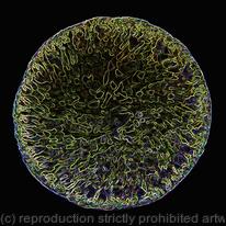 Cellular Conversa Microscopic Slide II