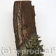 Woodland Fungus Sculpture | | | Beeswax, Pigment and Bark Woodland Fungus Sculpture