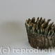 Woodland Fungus Sculpture | | | Beeswax, Pigment and Wood Woodland Fungus Sculpture