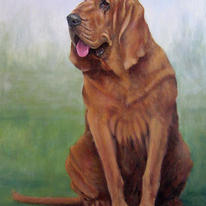Bella Hound