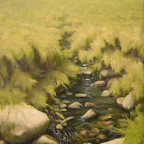 Moorland Stream